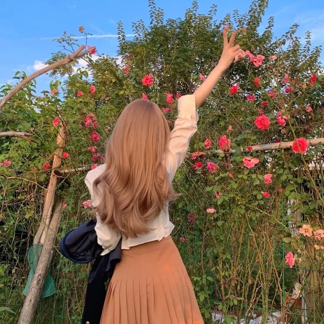 零界之艾力克斯